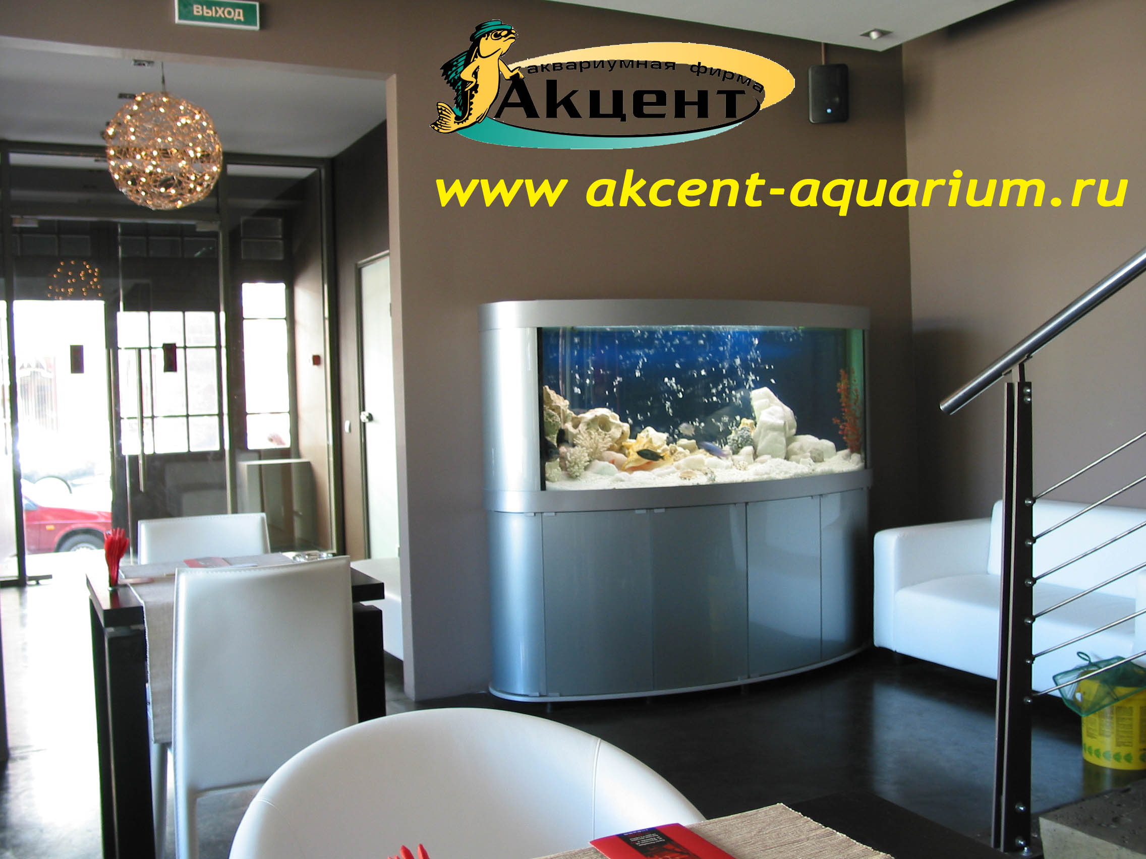 Акцент-Аквариум, аквариум эллипсоидной формы 500 литров кафе